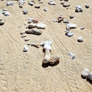 Seven Chakra Tree of Love and Positivity